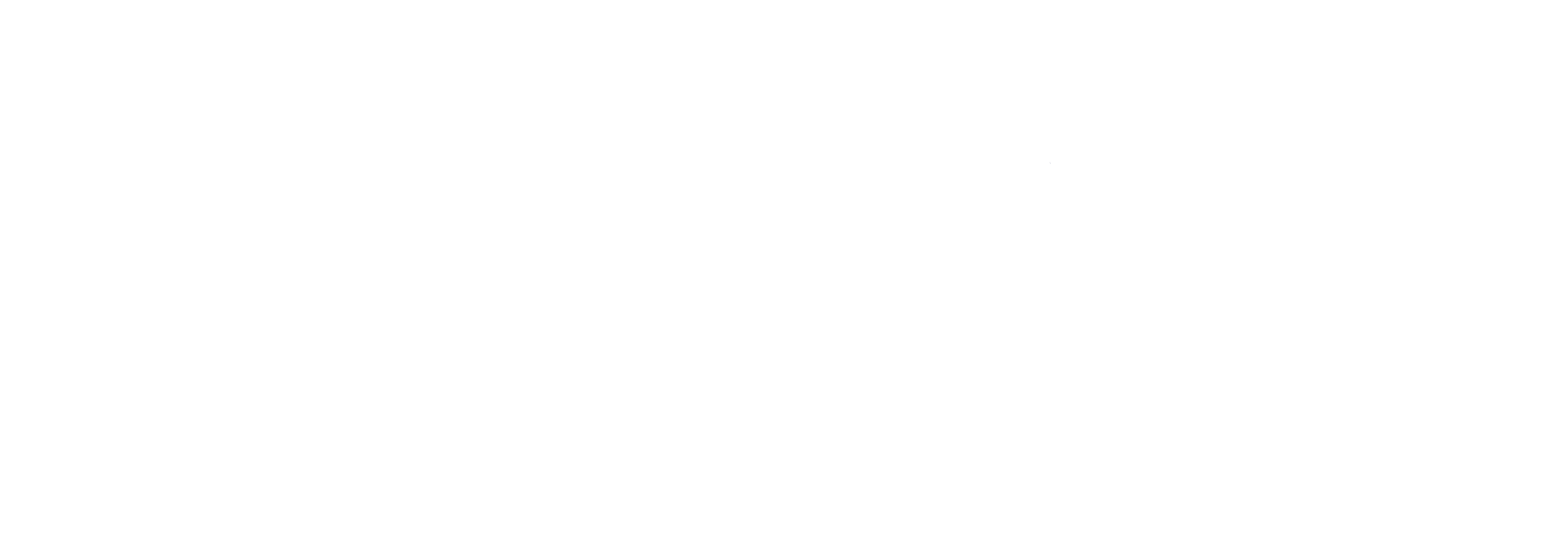 Marcela Prefecta